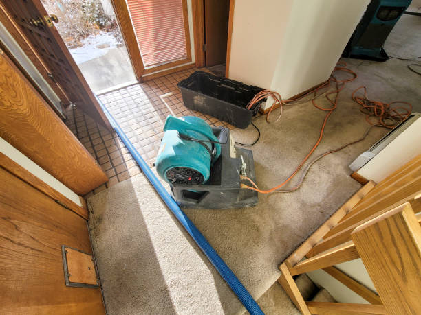 Best Flood restoration services  in Williamsport, IN
