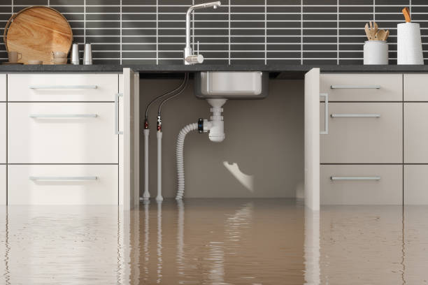 Best Professional water damage repair  in Williamsport, IN